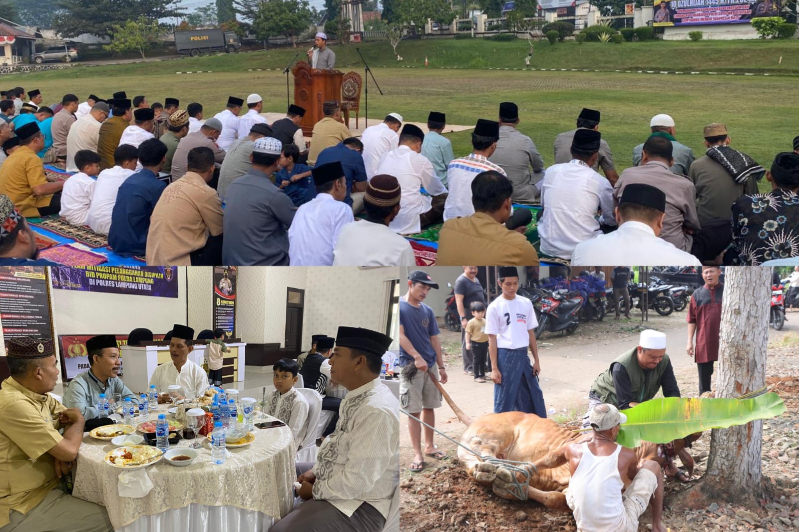 Gelar Sholat Idul Adha, Polres Lampung Utara Potong 6 Ekor Hewan Kurban