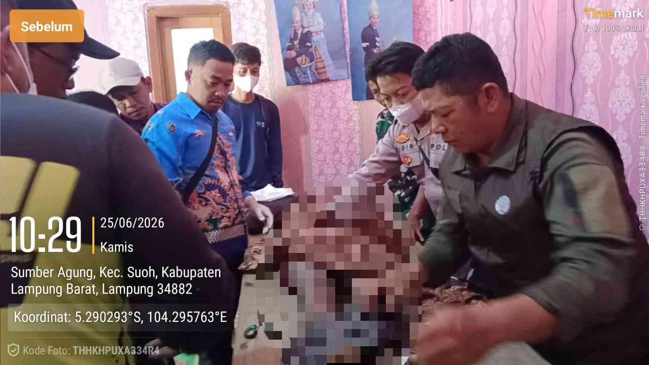 Buruh Tani Tewas Diduga Diserang Gajah Liar di Kawasan TNBBS Suoh