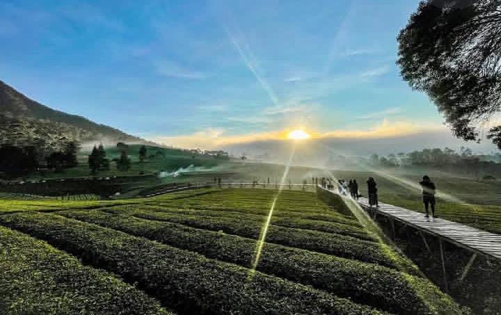 Riung Gunung, ‘Swiss’-nya Bandung Selatan yang Memikat Wisatawan