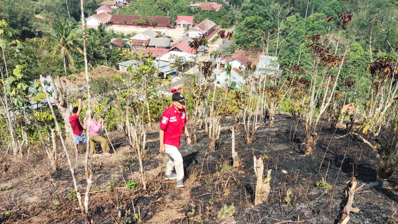 Petugas UPT Damkar Kenali Gerak Cepat Tangani Kebakaran Lahan di Pekon Luas