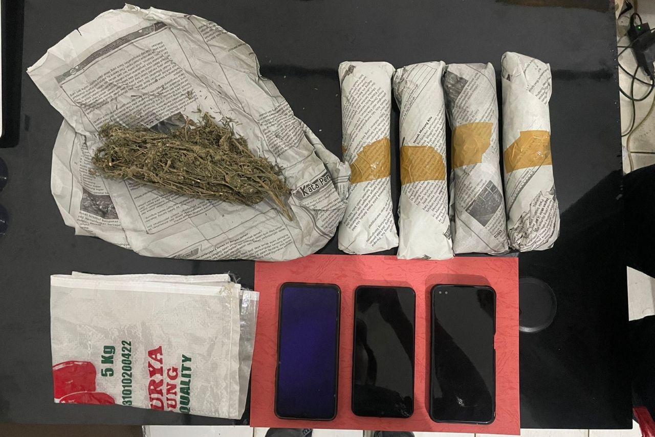 Polres Lampung Utara Gagalkan Peredaran 0,5 Kg Ganja, Tiga Pelaku Ditangkap