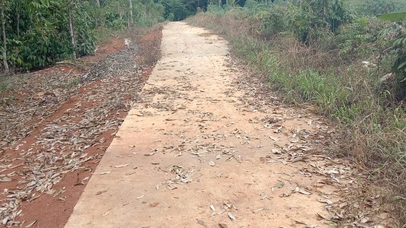 Kades Lepang Tengah Bantah Dugaan Penyimpangan Dana Desa di Proyek Jalan Rabat Beton