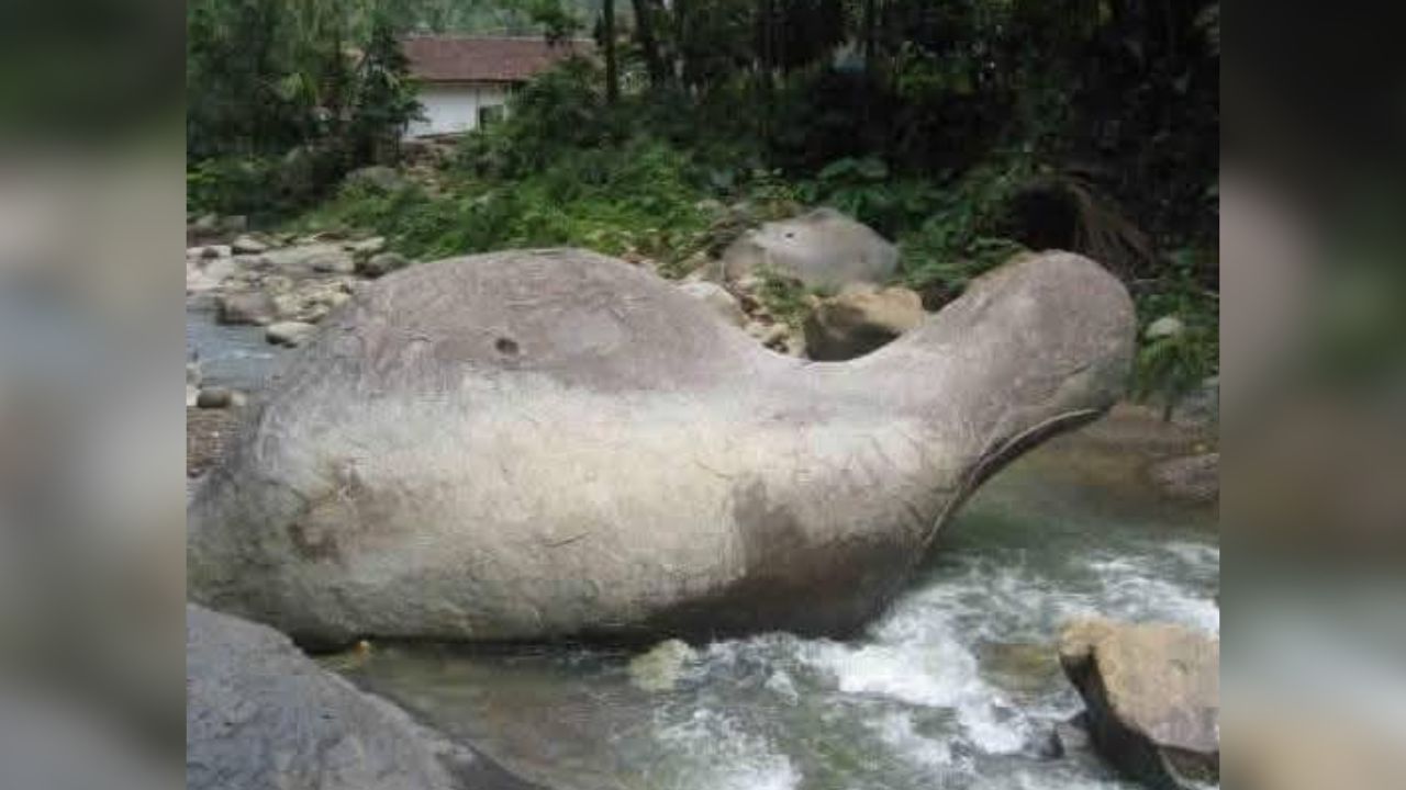 Batu Raksasa Kura-Kura: Warisan Megalitik Nusantara dan Simbol Budaya