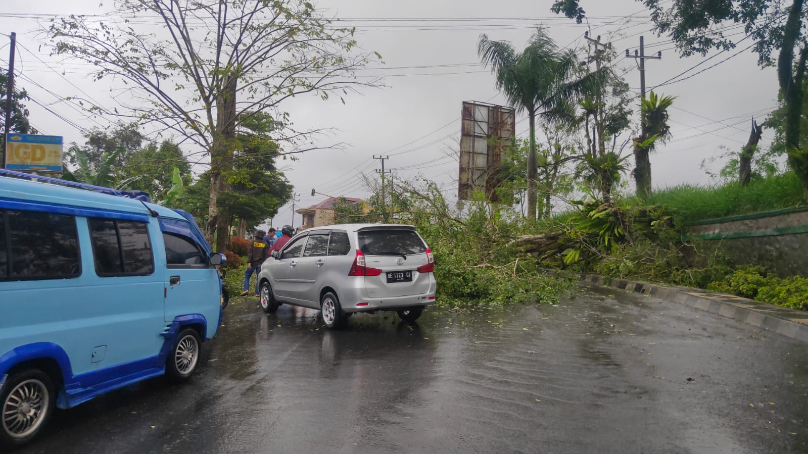 Diguyur Hujan, Pohon Tumbang di Jalan Raden Intan