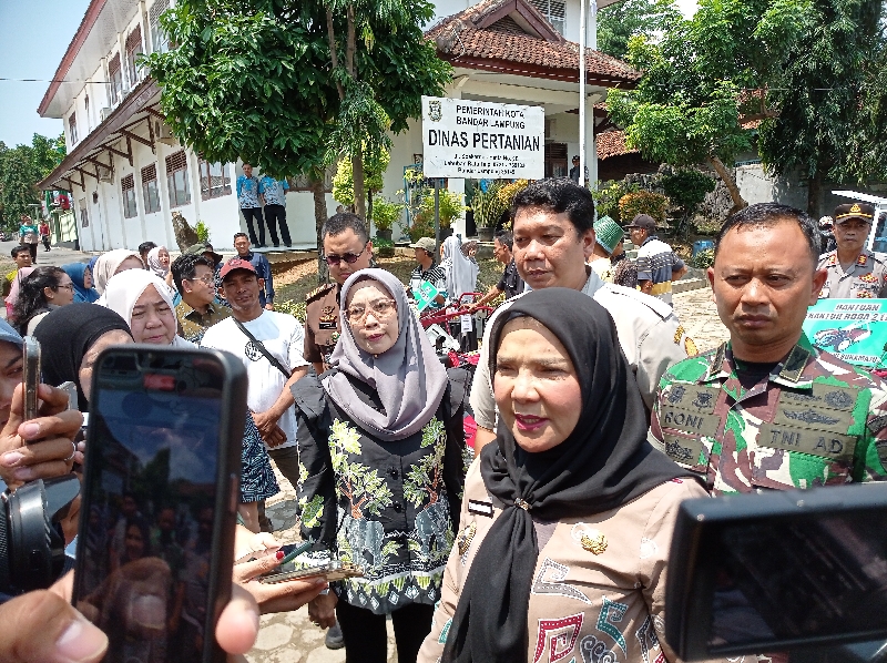 Pemkot Bandar Lampung Dorong Ketahanan Pangan Lewat Program Tanam Cabai