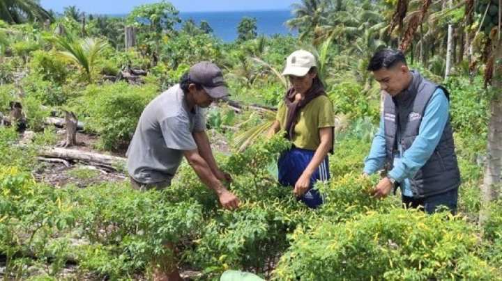 Di Balik Lautan Talaud, Mantri BRI Jadi Penggerak UMKM Hingga Pelosok Kepulauan