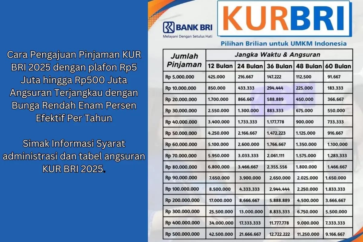 Pinjaman Modal Rp250 Juta, Cicilan KUR BRI Mulai Rp5 Juta per Bulan