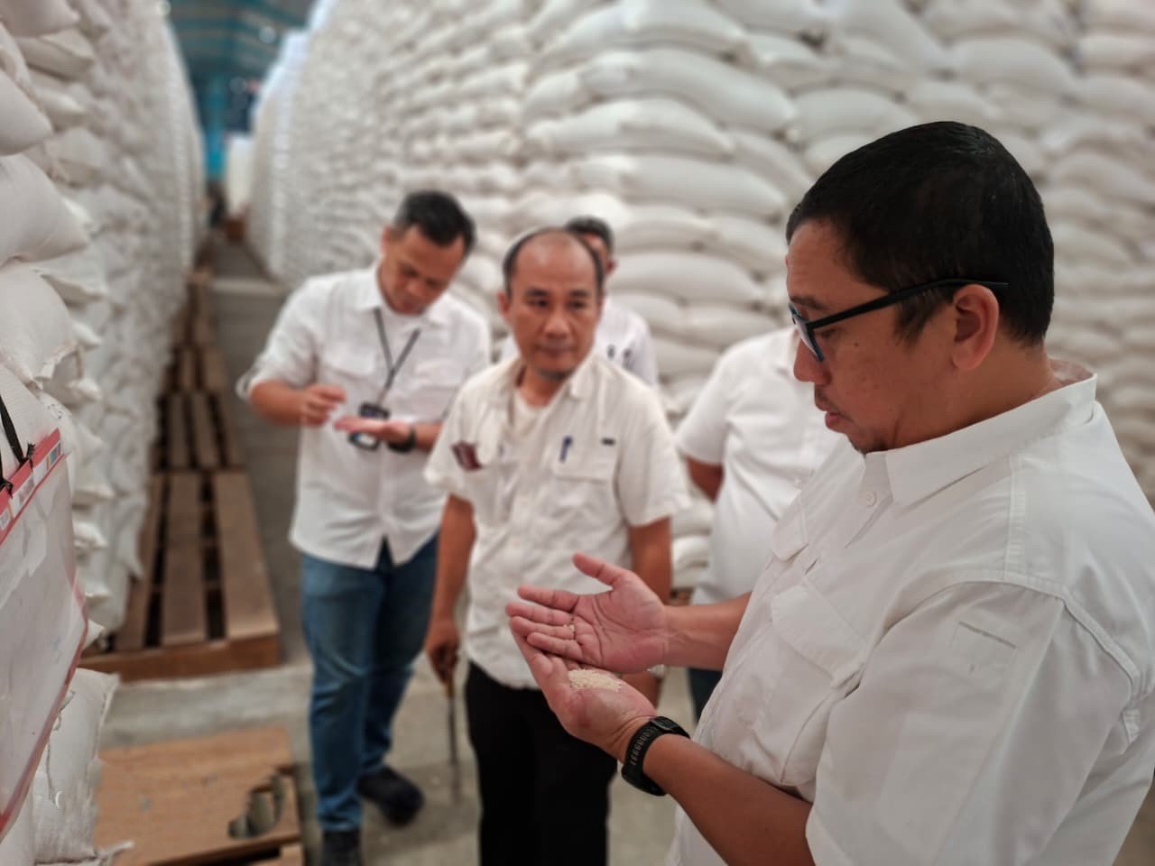 BULOG Lampung Perkuat Ketahanan Pangan Lewat Penyerapan Hasil Panen Petani