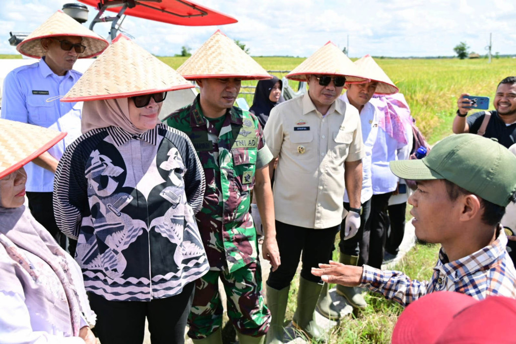 Panen Raya Serentak, Lampung Selatan Dukung Target Swasembada Pangan 2027
