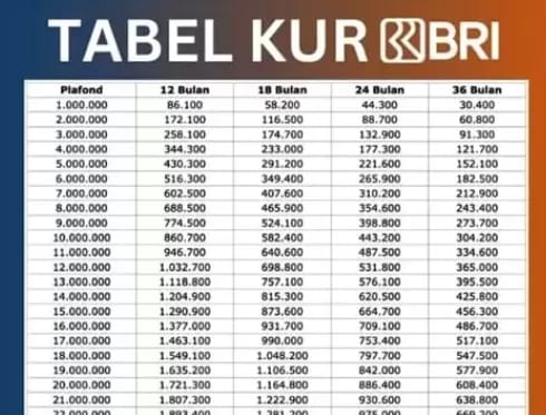 KUR BRI 2025 Buka Peluang Modal Usaha UMKM hingga Rp100 Juta, Cicilan Mulai Rp200 Ribuan