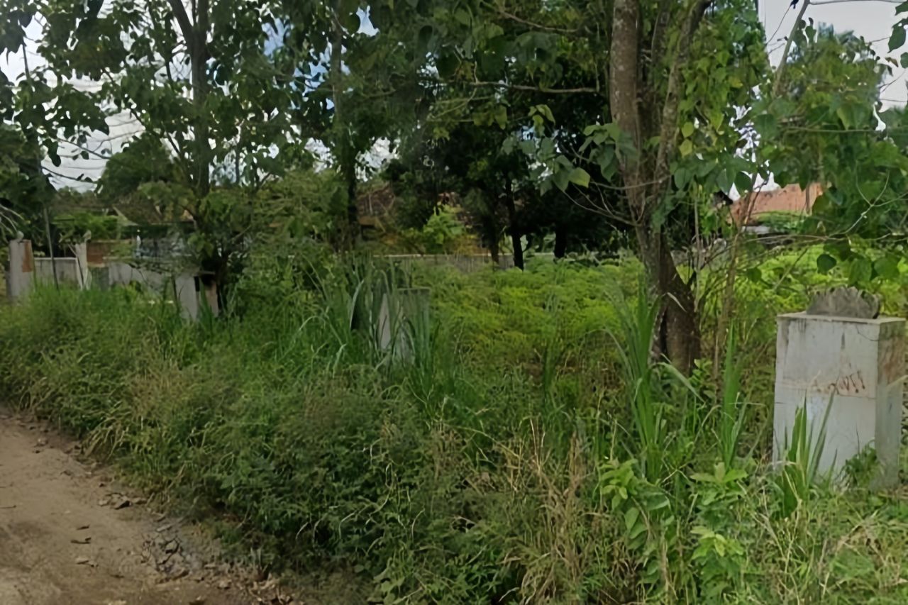 Oknum ASN Lampung Utara Diduga Sewakan Aset Disbunnak untuk Kepentingan Pribadi