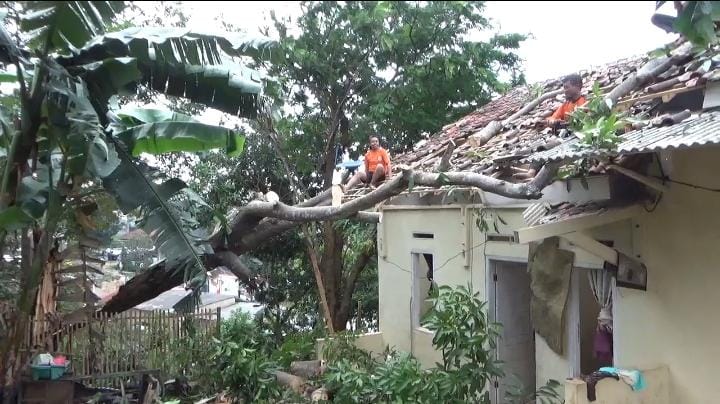 Angin Kencang di Kemiling Tumbangkan Pohon, 20 Rumah Warga Rusak