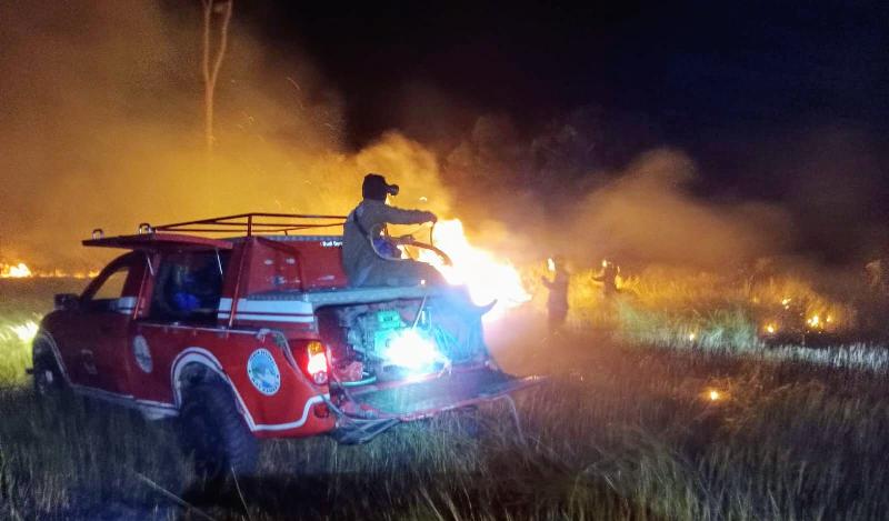 Polda Lampung Tegaskan Pelaku Pembakaran Hutan dan Lahan Bisa Diancam Penjara 15 Tahun