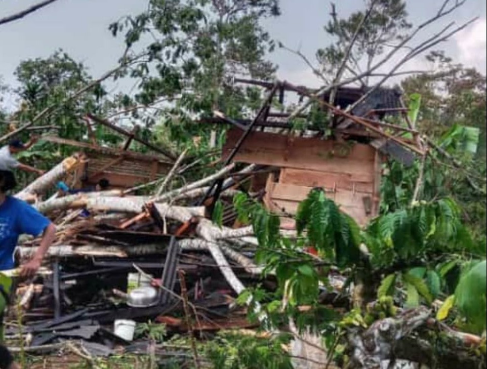 Hujan Disertai Angin Kencang, Satu Pohon Tumbang Timpa Rumah Warga di Sukapura