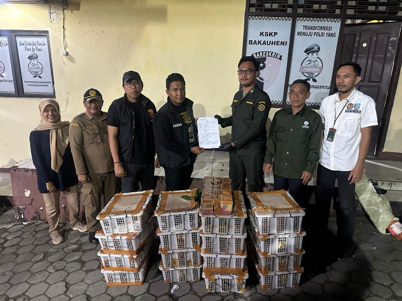 KSKP Bakauheni Gagalkan Ratusan Burung Tanpa Dokumen 