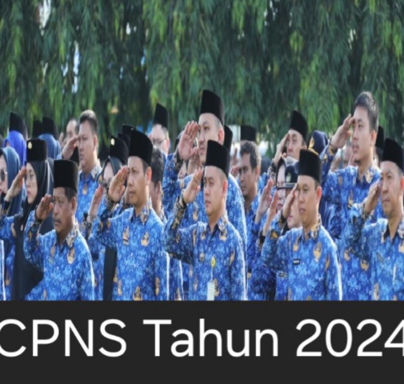 Masih Sepi Peminat, Berikut Kementerian dan Pemda yang Kurang Diminati di CPNS 2024