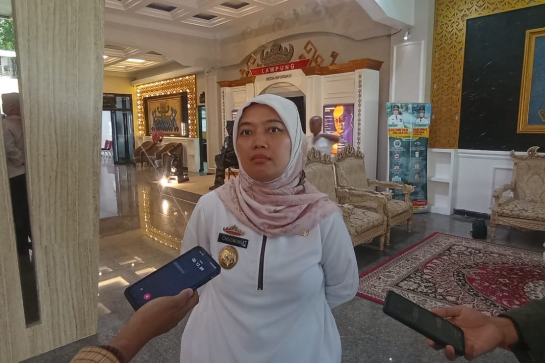 Soal Video Viral di TikTok Kritik Pembangunan Lampung, Ini Kata Wagub Nunik 