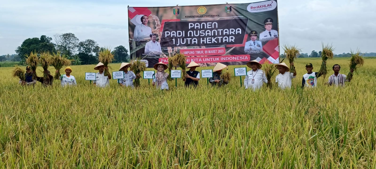 Lamtim Dukung Program Panen Padi Nusantara 1 Juta Hektar