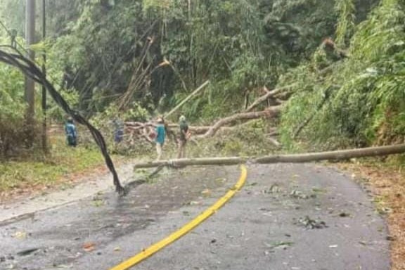 Bencana Longsor dan Pohon Tumbang Lumpuhkan Ruas Jalan Batu Brak-Belalau 