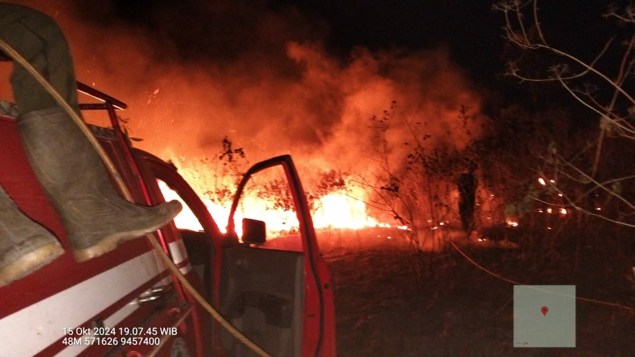 350 Hektar Lahan dan Satwa Terbakar di Taman Nasional Way Kambas