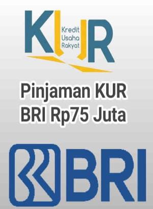 Ajukan Pinjaman KUR BRI 2023 Limit Rp75 Juta Tanpa Jaminan Tambahan, Angsuran Bulanan Juga Ringan