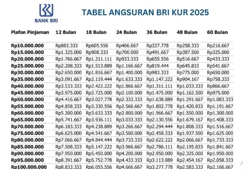 Solusi Modal Usaha, KUR BRI 2025 dengan Cicilan Terjangkau