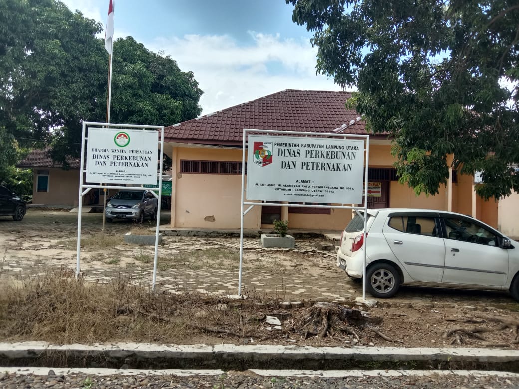 Nihil Kasus Sapi Ngorok, Disbunnak Lampung Utara Minta Blantik Karantina Sapi Baru 