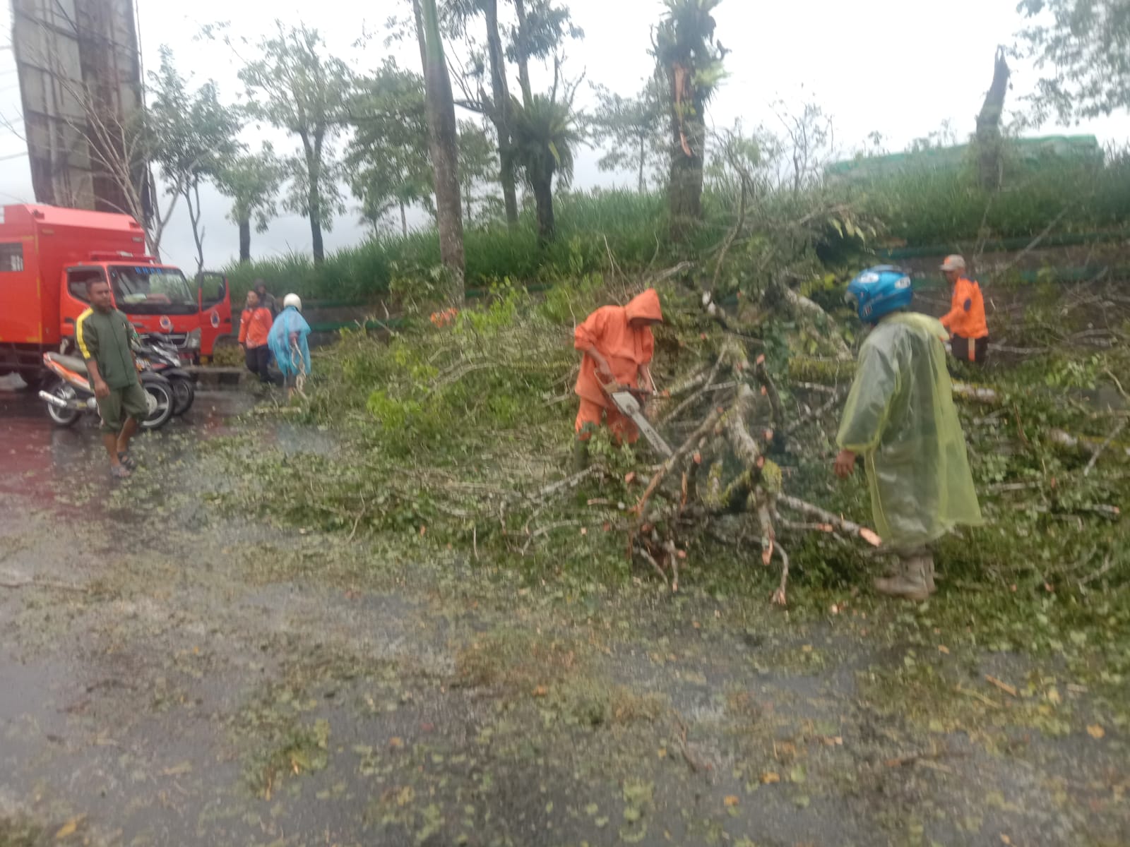 Gerak cepat, BPBD dan DLH Bersihkan Pohon Tumbang di Jalan Raden Intan 