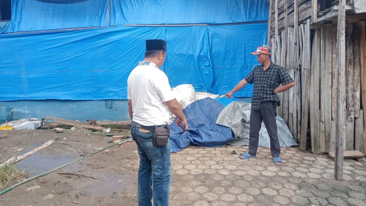 Warga Kota Alam Keluhkan Serbuan Lalat dari Kandang Ayam Broiler