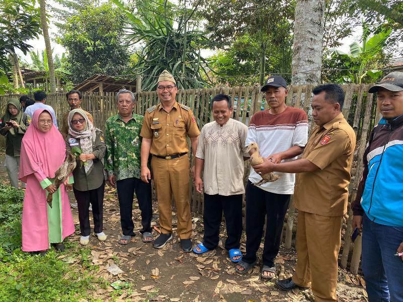 Camat Air Hitam Pimpin Penyerahan Bantuan 700 Bebek Petelur di Pekon Semarang Jaya