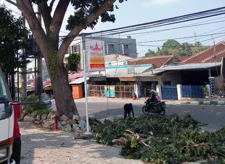 Ancam Keselamatan Pengguna Jalan, Lurah Gedong Air Pangkas Pohon Besar di Pinggiran Jalan