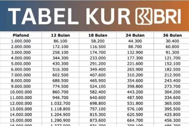 Mudah Dapat Pinjaman Hingga Rp100 Juta, Ini Cara Ajukan KUR BRI 2025 Tanpa NPWP dan Agunan