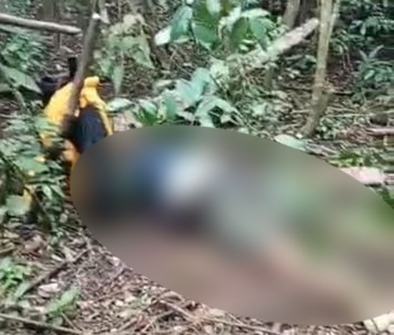 Diduga Jatuh dari Ranggon, Mayat Seorang Pemburu Ditemukan Membusuk di Hutan 
