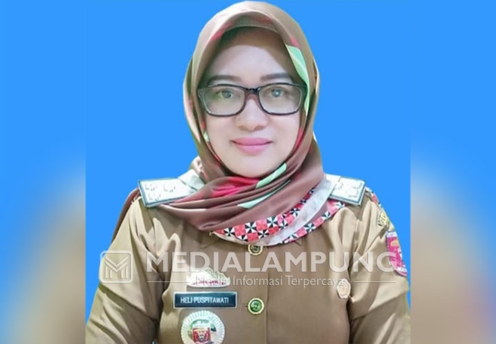 Pelayanan KB di Lampung Barat Lampaui Target pada Peringatan Harganas Tahun 2023 