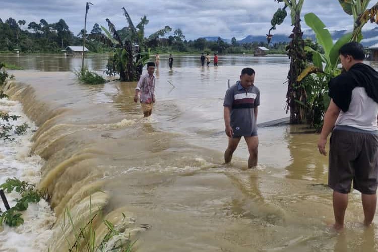 Banjir di Kecamatan Kebun Tebu - Gedung Surian dan Air Hitam Rugikan Petani Ikan Berkisar Rp 8 Miliar 