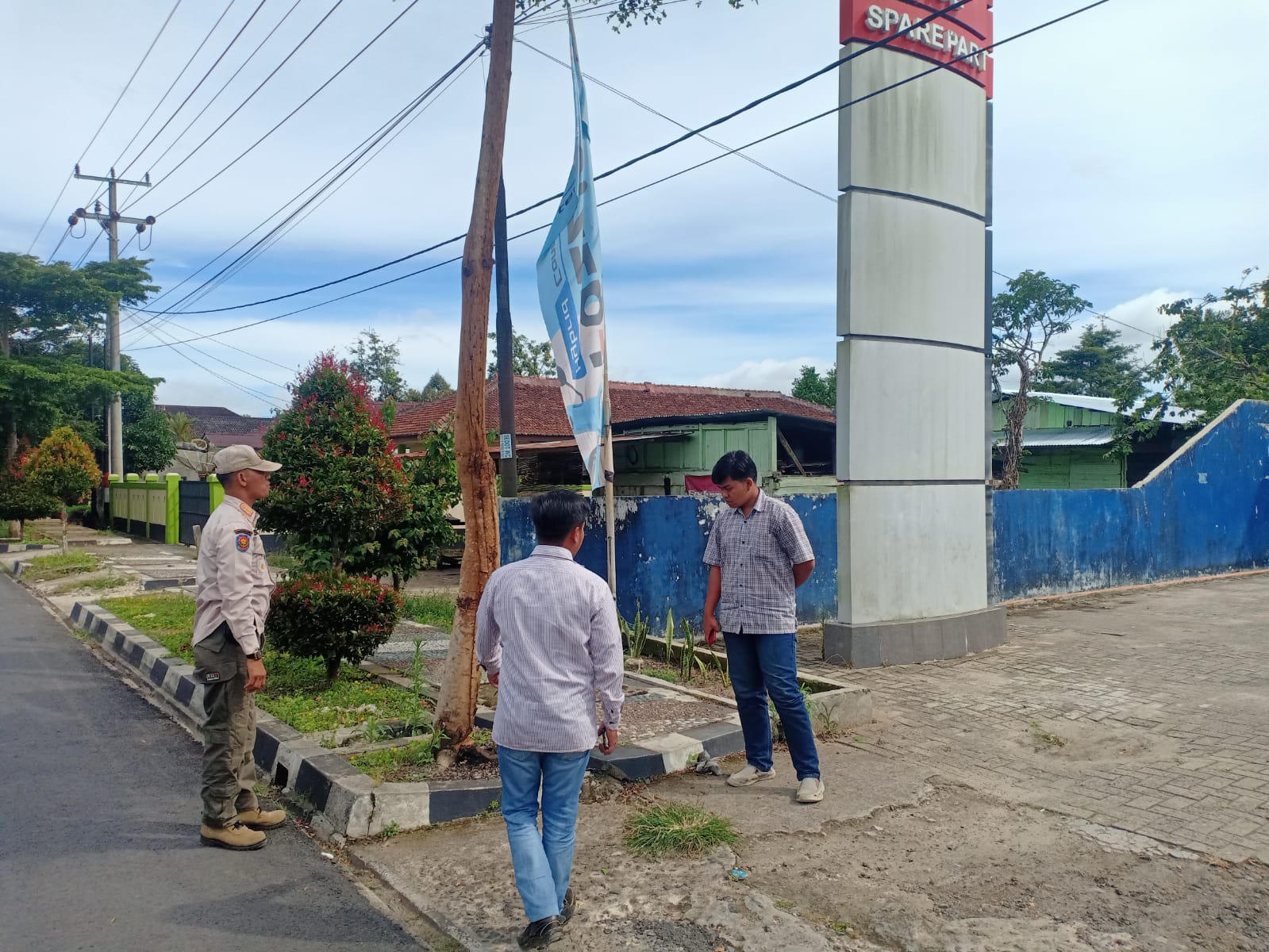 30 Pohon Penghijauan Mati Dibunuh, 102 Pohon Kondisinya Mengkhawatirkan