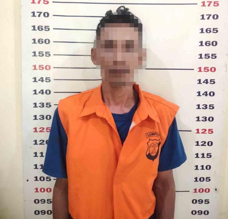 Gak Butuh waktu Lama Polsek Kalianda berhasil Bekuk Pelaku Pencuri Sapi 