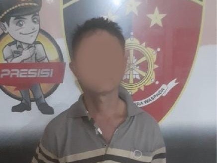 Setubuhi Anak Tiri, Seorang Pria Pekerja Serabutan Ditangkap Polsek Panjang