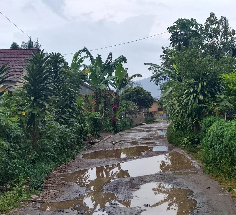 Jalan Rusak Parah, Warga Gang Kapuk Kecewa Seolah Diabaikan Pemerintah