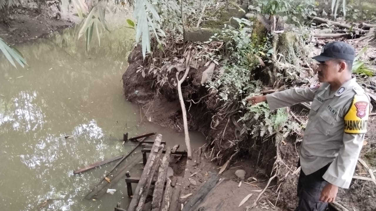 Nyuci Baju di Sungai, IRT di Tanggamus Diserang Buaya Muara