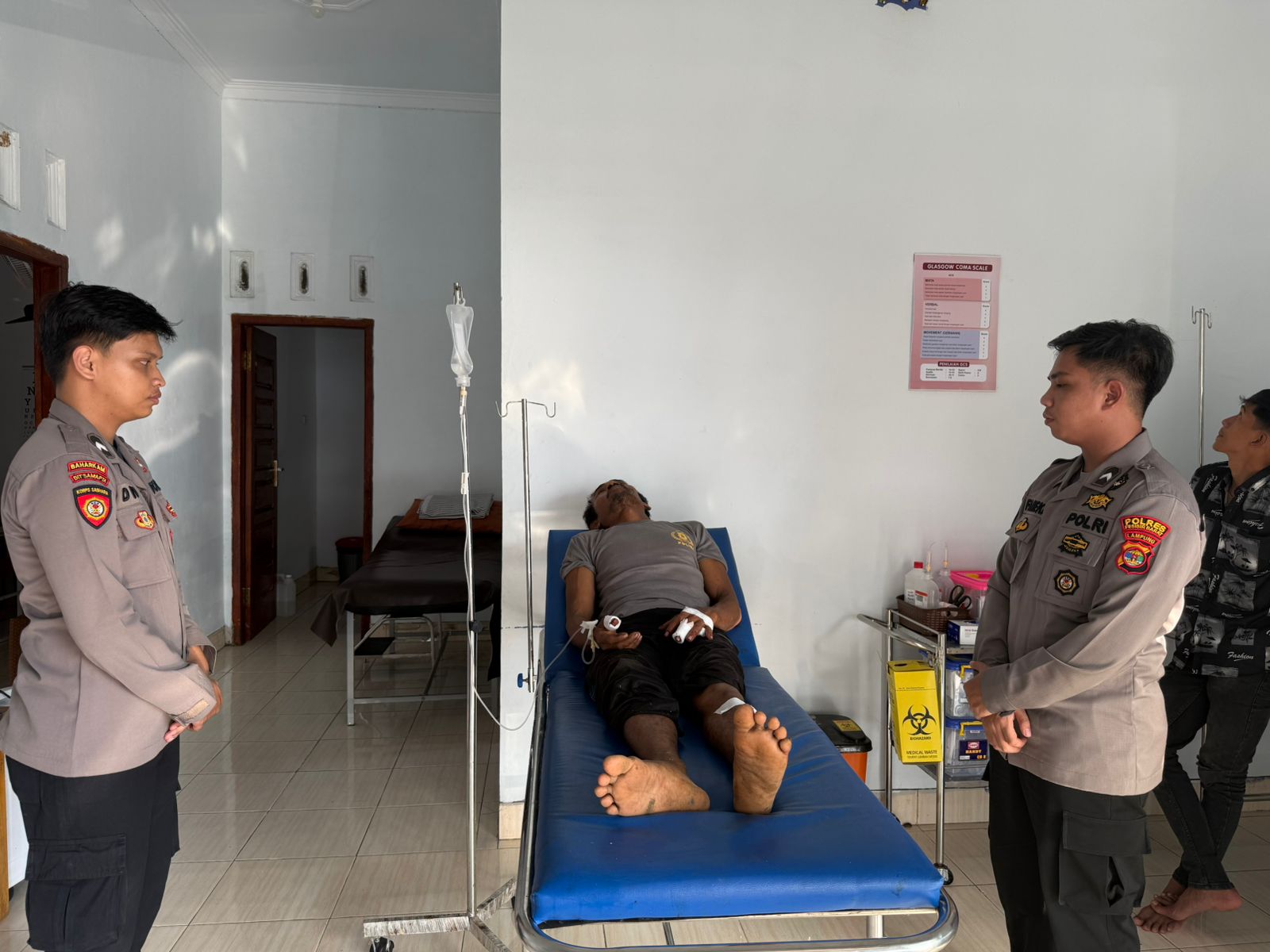 Warga Pesisir Barat Diserang Beruang, Alami Luka Serius dan Jalani 23 Jahitan