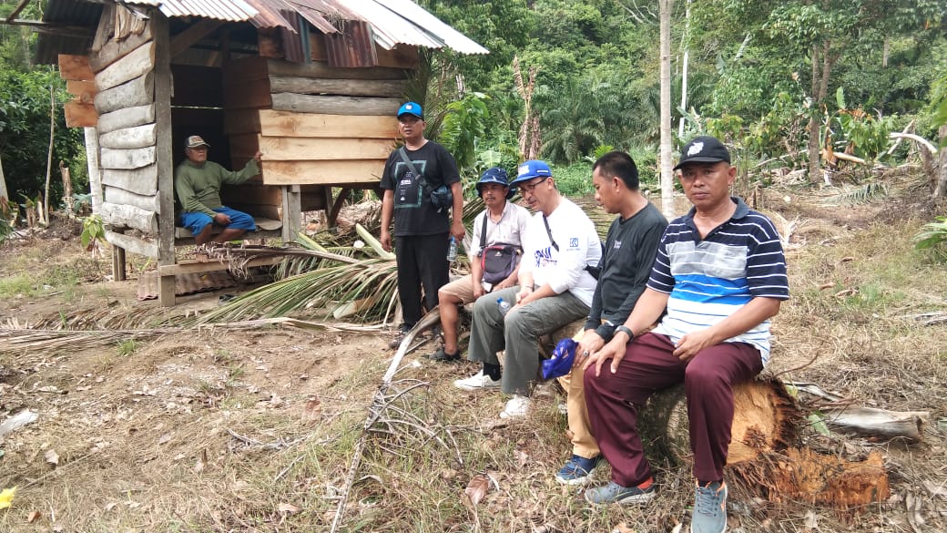 Rombongan Gajah Liar Rusak 11 Gubuk Warga di Pekon Marang