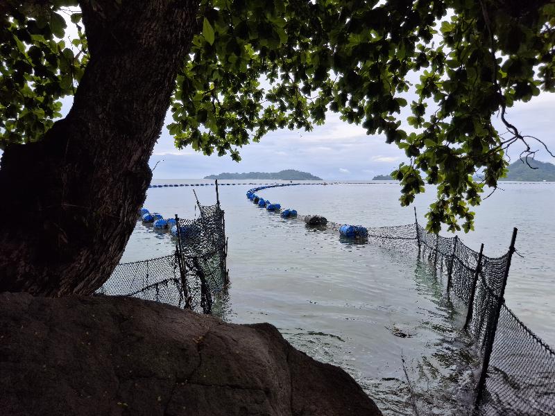 Viral Pagar Laut di Pantai Mutun, DPRD Lampung Minta Bongkar Jika Tak Berizin