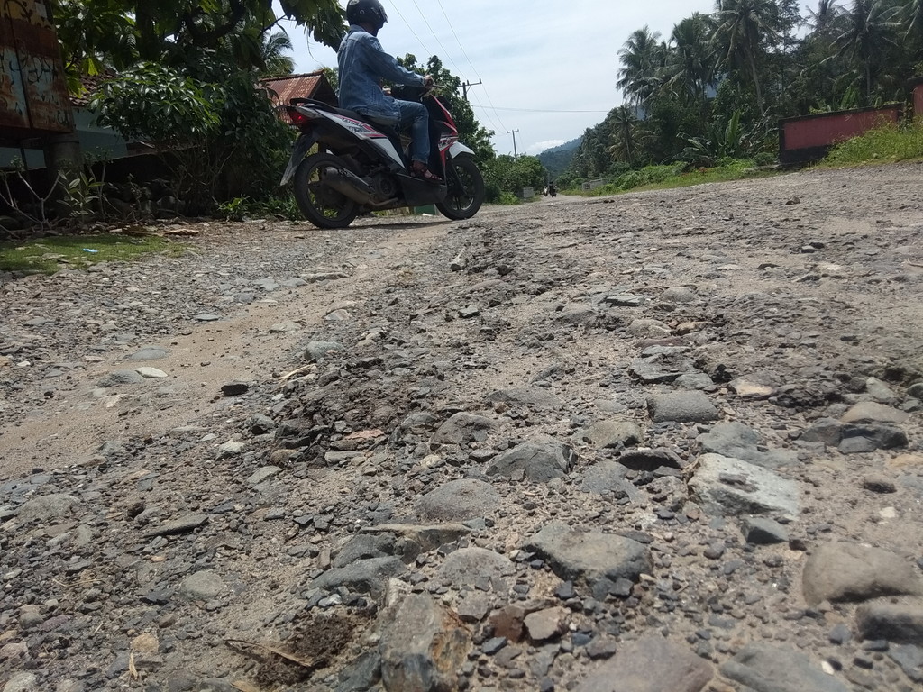 Anggota DPRD Tanggamus Soroti Kerusakan Jalan Tulungasahan-Sidomulyo