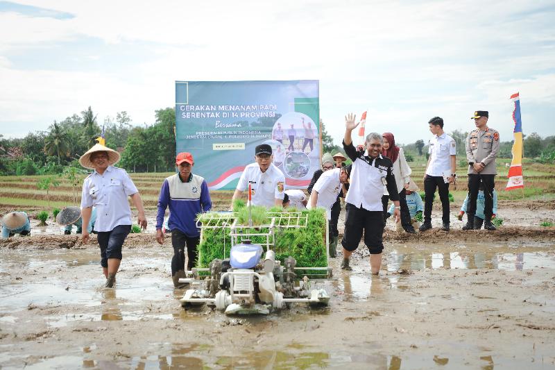 Pemprov Lampung Gaspol Hadapi Musim Tanam Kedua, Targetkan 3,5 Juta Ton Padi