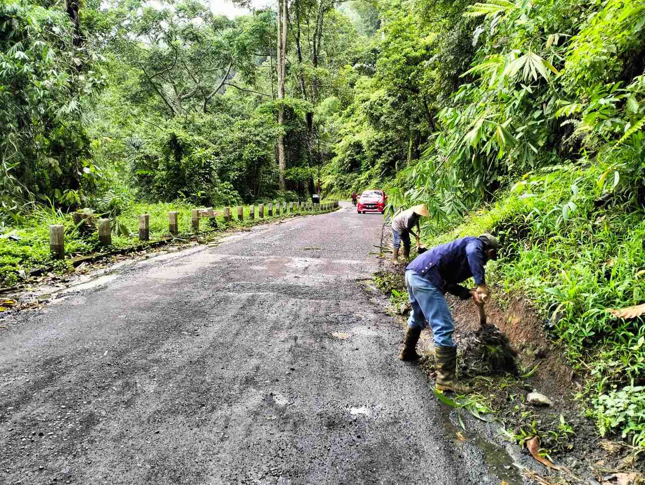UPTD PJJ Wilayah V Perbaiki  Kerusakan di Ruas Jalan Sumber Jaya-Kebun Tebu