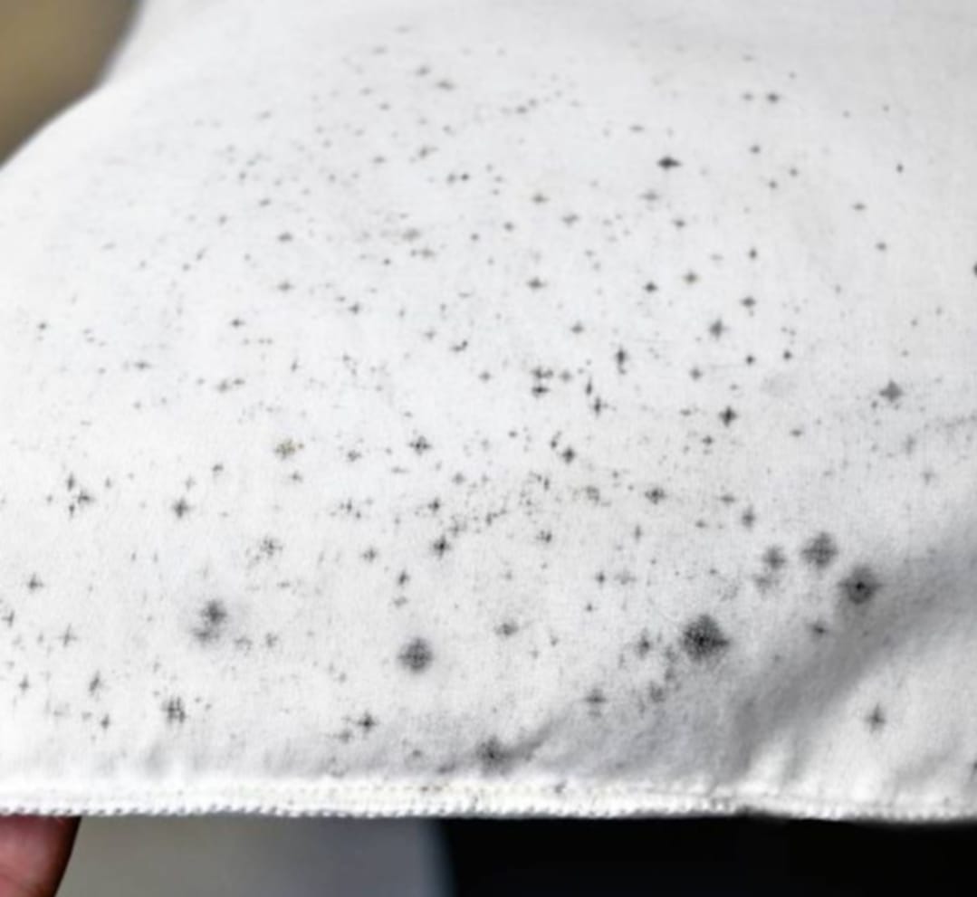 5 Cara Ampuh Hilangkan Jamur di Baju