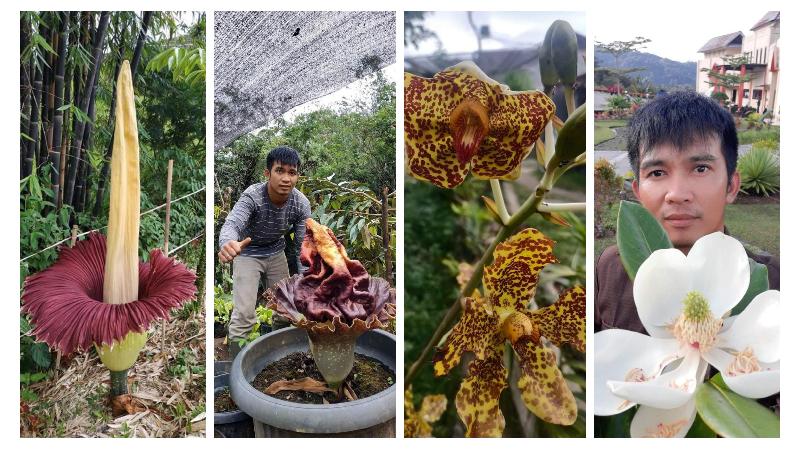 Kebun Raya Liwa Miliki 5.285 Spesimen Tumbuhan, Spesies Angrek, Talas-talasan dan Begonia Favorit Penelitian