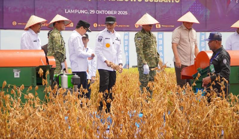 Panen Raya Kedelai TNI AL di Lampung: Bukti Sinergi Pemerintah Wujudkan Swasembada Pangan Nasional