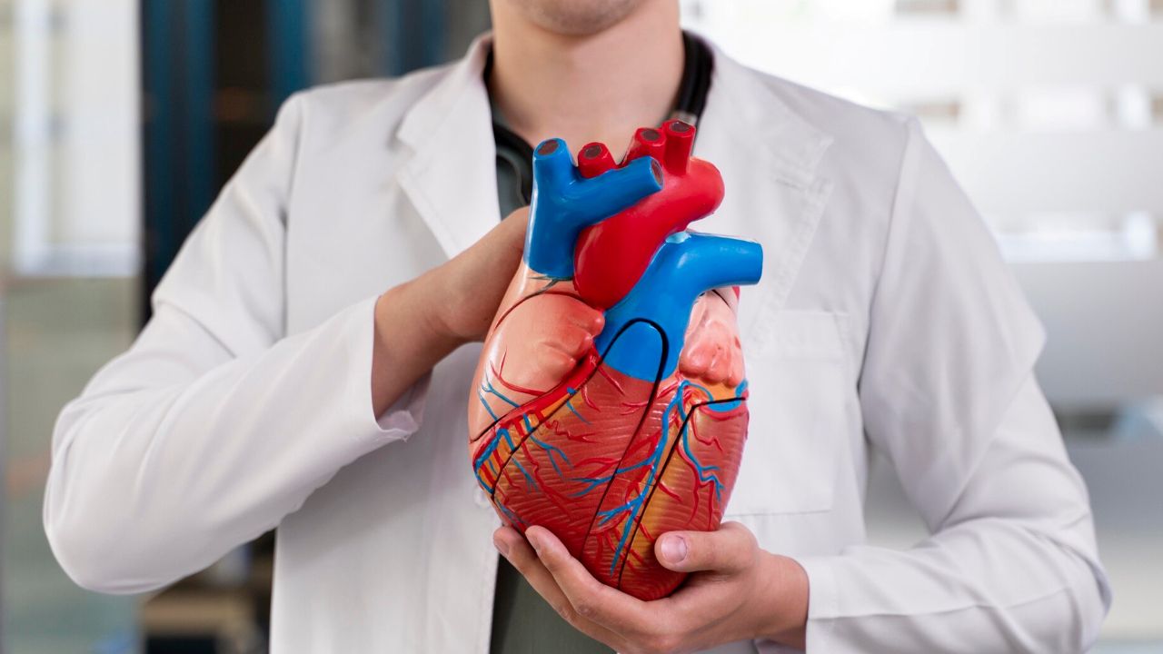 Detak Jantung Normal pada Orang Dewasa dan Faktor yang Dapat Memengaruhinya